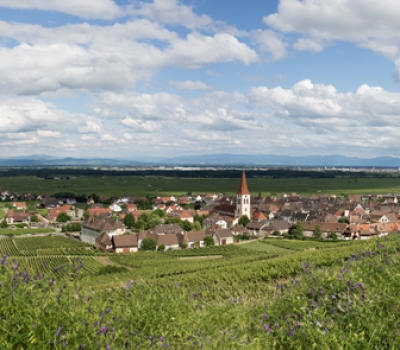 ammerschwihr-2013-3.jpg